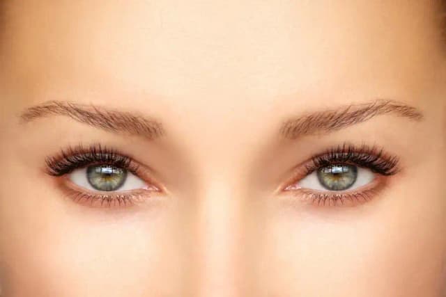 Cat Eye